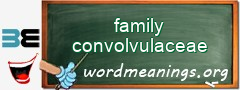 WordMeaning blackboard for family convolvulaceae